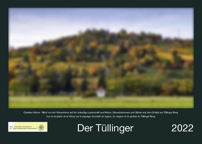 Read more about the article Der Tüllinger – Kalender 2022