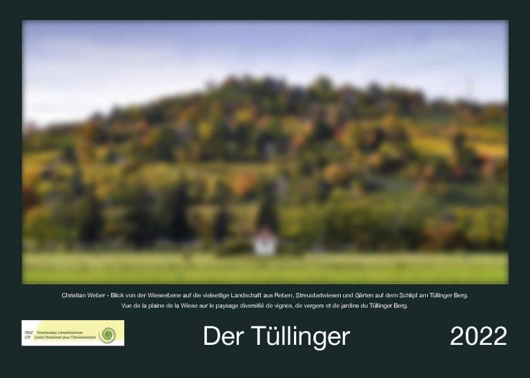 Mehr über den Artikel erfahren Der Tüllinger – Kalender 2022