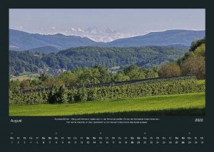 Der Tüllinger – Kalender 2022