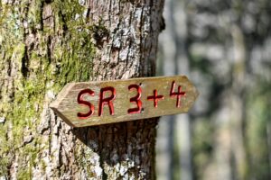 Wandern im Schwarzwald rund um Wies