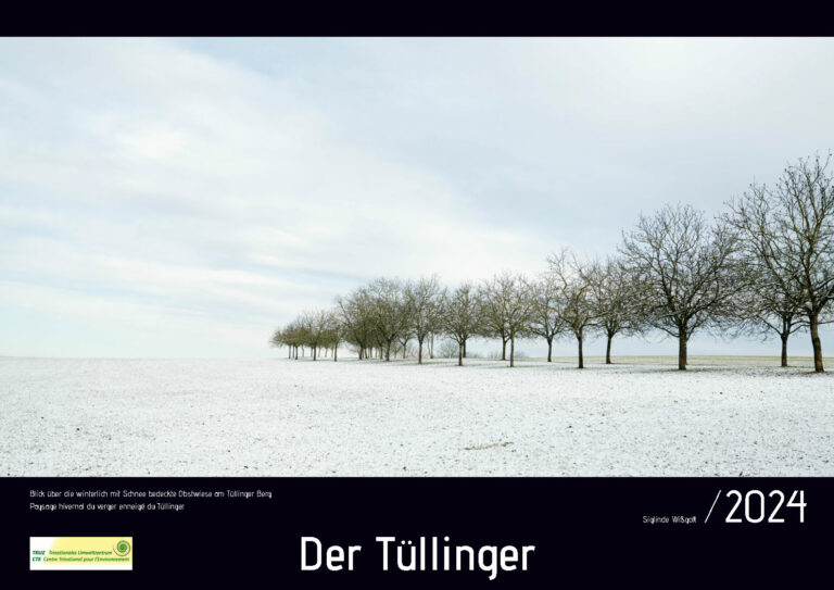 Read more about the article Der Tüllinger Kalender 2024